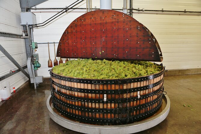 Champagne Guy De Chassey: Traditional Tour & Tasting - Exploring the Handmade Cellars of Champagne Guy De Chassey