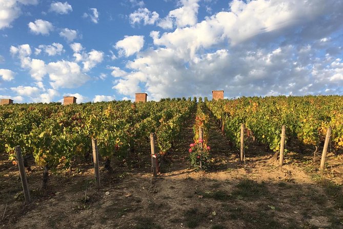 Champagne & Loire Valley Small Group Double Wine Day Tours - Logistical Details and Group Size Advantages