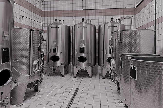 Champagne Munoz Bruneau : Half Day Visit and Tasting - Key Points