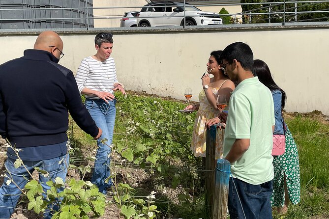 Champagne Munoz Bruneau : Half Day Visit and Tasting - Scenic Drive Along the Marne River Hillsides