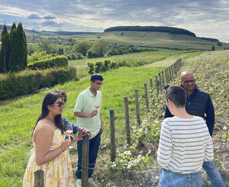 Champagne Munoz Bruneau : Half Day Visit and Tasting - The Guides and Reviews: Trusted Expertise and Warmth