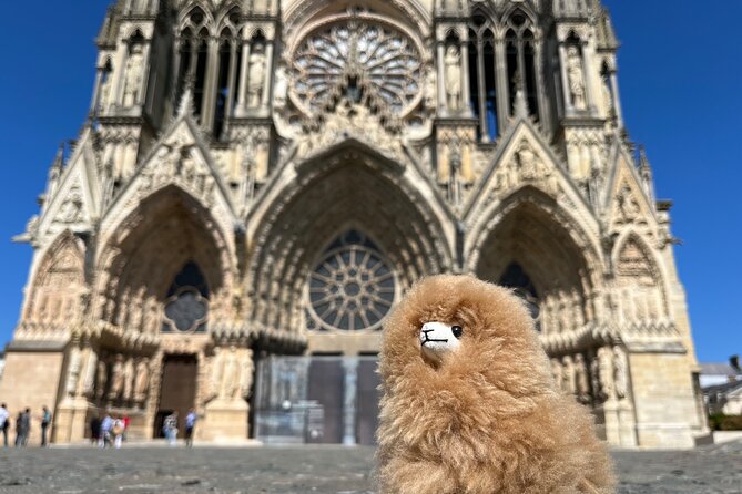 Champagne Private Guided Full-Day Trip Moët & Veuve Clicquot - Key Points