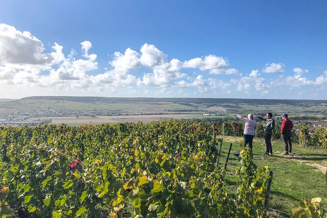 Champagne Private VIP Wine Day Trip with Michelin Lunch - Scenic Drive with Views Over Iconic Champagne Landscapes