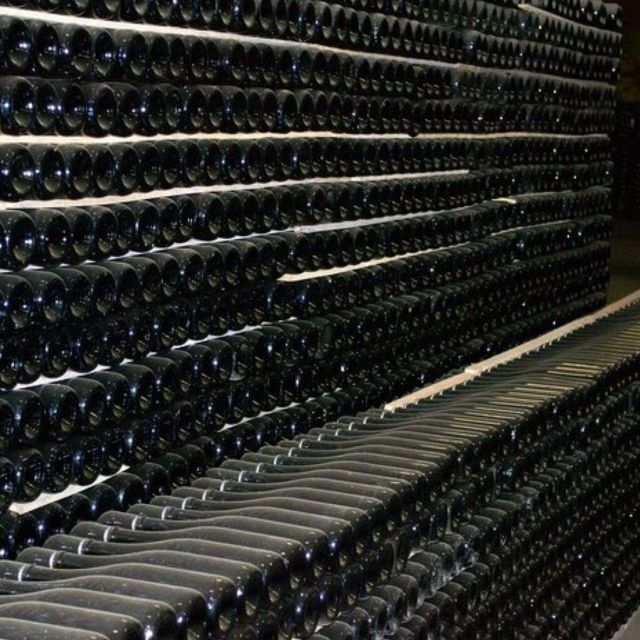 Champagne Region from Paris: Reims and Champagne Tasting - Tour Logistics and Accessibility