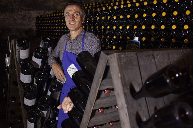 Champagne - Reims: Private tour from Paris by minivan - Inclusions and Practical Details