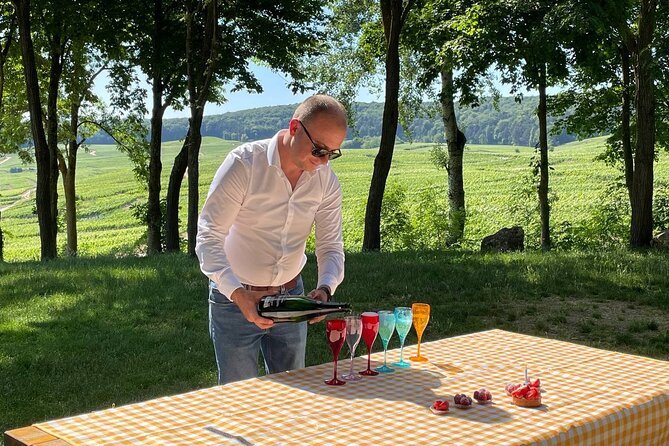 Champagne Small-Group Day Trip with Lunch and Tastings from Paris - Champagne Tasting Experience at a Small Winery