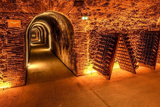 Champagne Small-Group Day Trip with Lunch and Tastings from Paris - The Expertise and Personality of the Guides