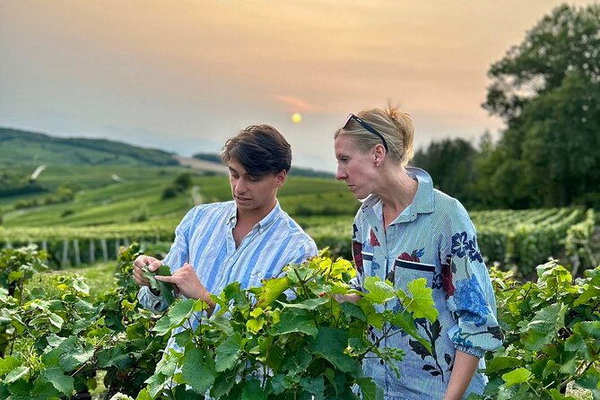 Champagne Small-Group Day Trip with Wine Tastings and Lunch - Key Points