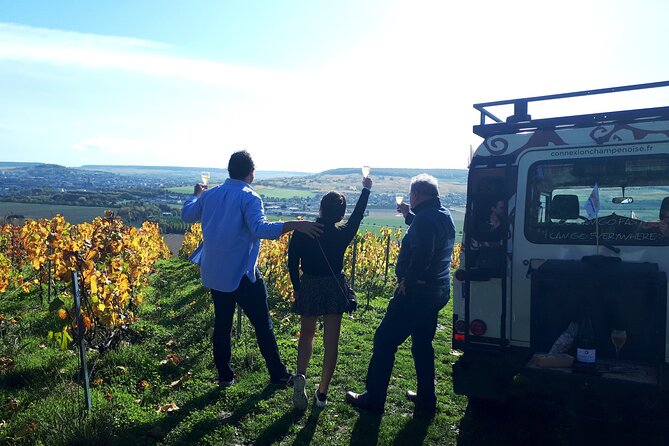Champagne tasting, panoramic walk in the vineyards - Key Points