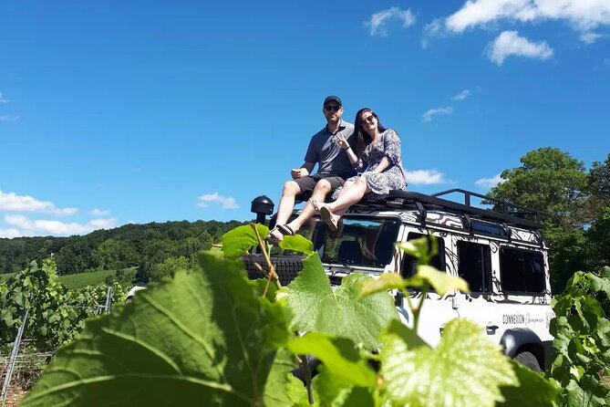 Champagne tasting, panoramic walk in the vineyards - Panoramic Views from the Hillsides