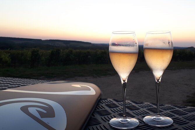 Champagne tasting, panoramic walk in the vineyards - Flexibility and Special Requests