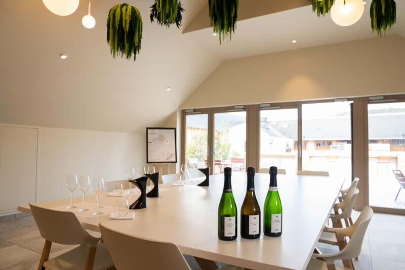 Champagne Vincent d'Astrée: Grape Variety Workshop - The Setting of Maison Vincent dAstrée in Pierry