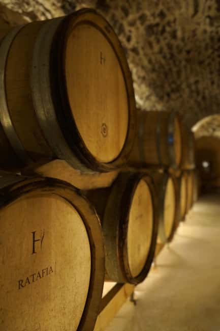 Champagne Vineyard Experience: Explore the terroir - Champagne Harlin’s 1.5-Hour Vineyard Tour in Grand Est