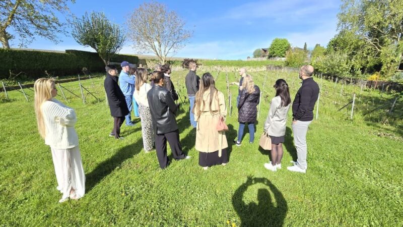 Champagne Vineyard Experience: Explore the terroir - The Journey Through the Terroirs of Mareuil-le-Port, Épernay, and Tours-sur-Marne