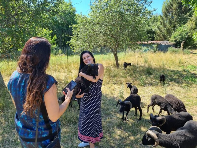 Champagne Vineyard Experience: Explore the terroir - The Experience Guide and Group Size