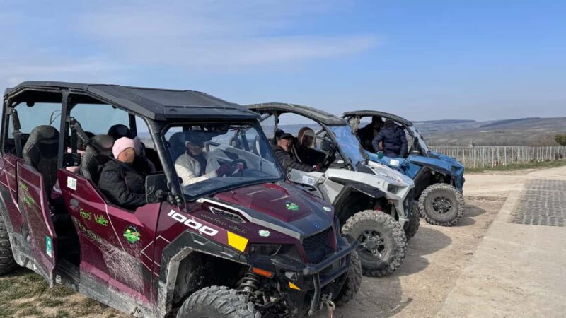 Champagne vineyards: 2-hour guided tour of the vineyards in a Buggy - A Scenic 30-35 Kilometer Ride in the Champagne Vineyards