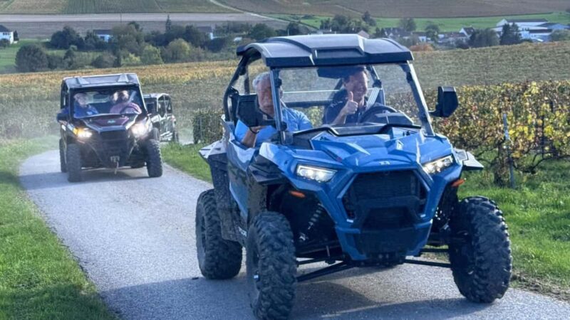 Champagne vineyards: 2-hour guided tour of the vineyards in a Buggy - Learn About Grape Varieties and Champagne Production