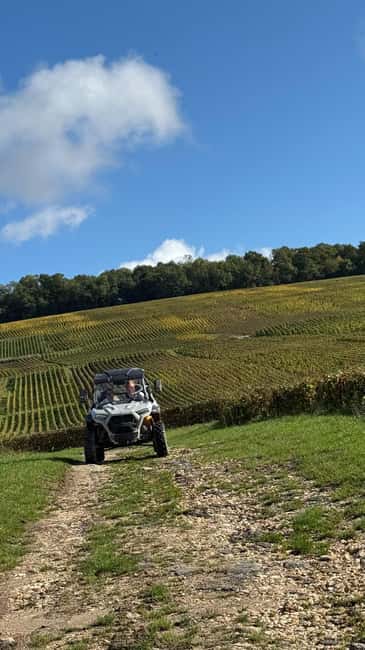 Champagne vineyards: 2-hour guided tour of the vineyards in a Buggy - The Highlight: Champagne Tasting in a Human-Scale Setting
