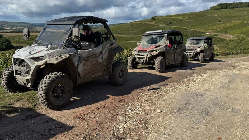 Champagne vineyards: 2-hour guided tour of the vineyards in a Buggy - Suitability and Considerations for Participants