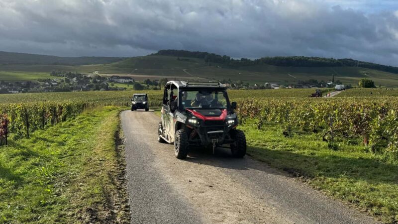 Champagne vineyards: 2-hour guided tour of the vineyards in a Buggy - Why This Champagne Vineyard Tour Is a Great Choice