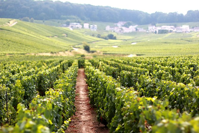 Champagne VIP Day Trip from Paris With Local PRIVATE Wine Expert Guide - Key Points