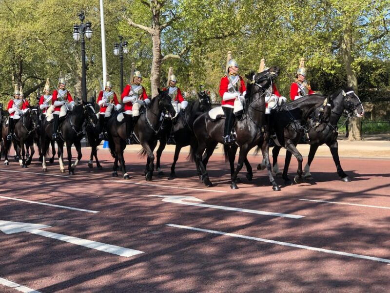 Changing of the Guard and Buckingham Palace Entry Ticket - Physical and Practical Considerations