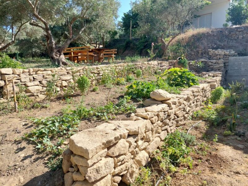 Chania: 5-Wine Tasting with Locals in Village near Kissamos - Reviews Highlight the Experience’s Quality