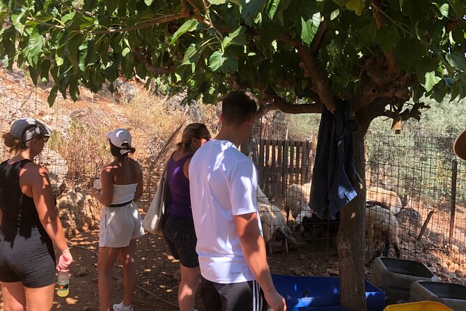 Chania Area: Cooking Class at a Farm in Stylos Village (organic) - Family-Like Hospitality and Personal Touch