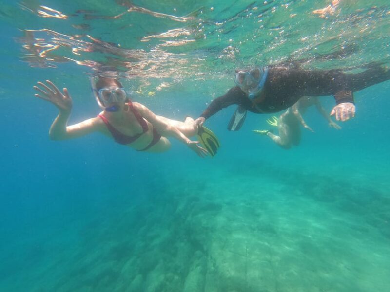 Chania: Boat Trip with Guided Snorkeling Tour - Discover the Unique Marine Life and Underwater Features