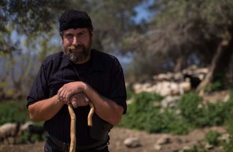 Chania: Cretan Wine, Olive Oil & Cooking Workshop - The Feast: Enjoying Your Homemade Crete Dishes with Sea and Mountain Views