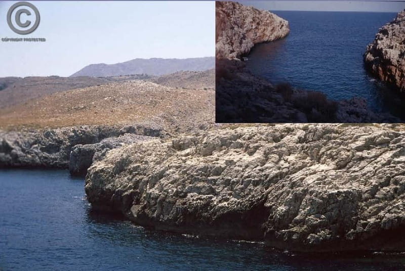 Chania: Diving Trips for Certified Divers - The Wall Dive: Exploring Cliffs and Marine Ecosystems