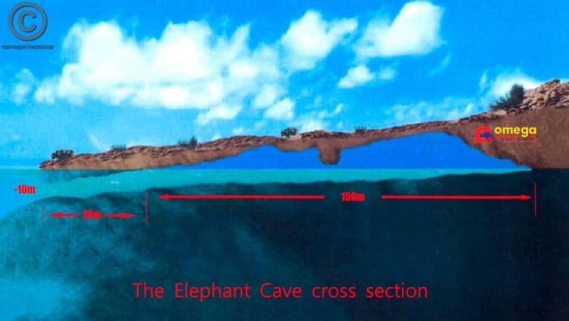 Chania: Diving Trips for Certified Divers - Practical Details and Booking Flexibility