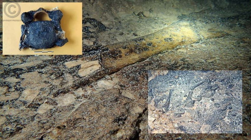 Chania: Diving Trips for Certified Divers - Why This Tour Stands Out in Crete’s Diving Scene