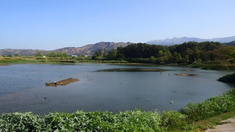 Chania Ebike Eco-Long Tour + Traditional Snack - Visiting Citrus Villages with a Historic Past