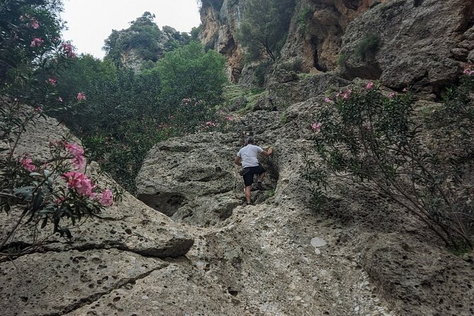 Chania Ebike Fit Tour with traditional snack - Explore Crete with an Active, Authentic Tour for $86.73