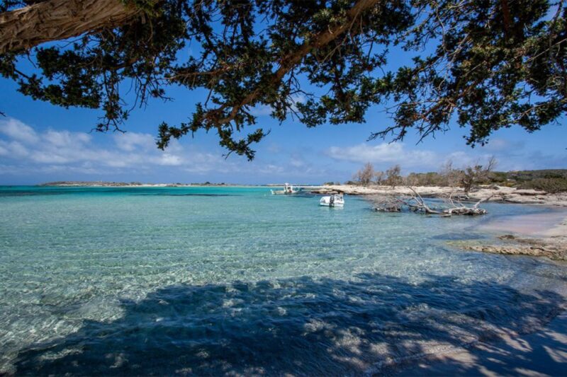 Chania: Elafonisi and Milia Mountain with Loungers and Lunch - The Small-Group Advantage and Guide Expertise