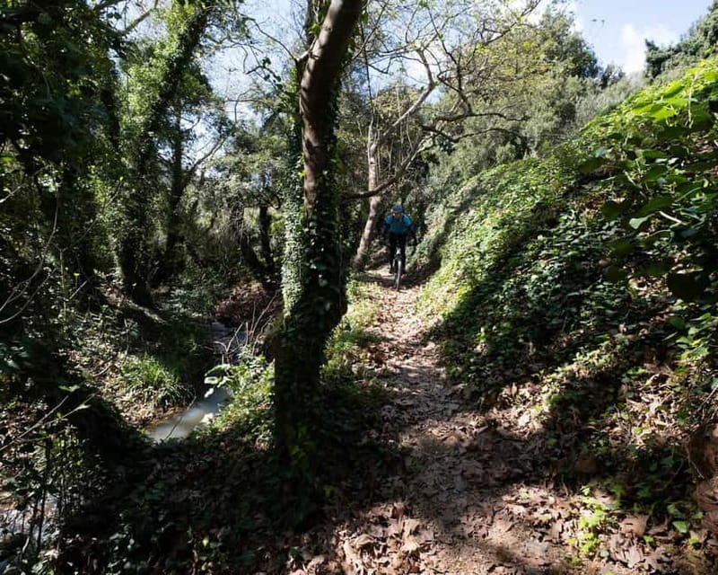 Chania: Electric Mountain Bike Tour - Key Points