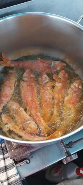 Chania Fishing with Nets: Catch&Cook with a Local Fisherman - Who Will Appreciate This Tour Most?