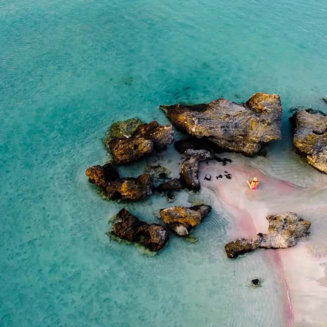 Chania: Full-Day to Elafonissi Beach Direct with No Stops - Key Points