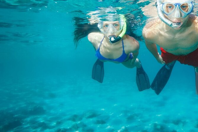 Chania Guided Snorkeling and Boat Excursion - Return Journey and Drop-Off Options