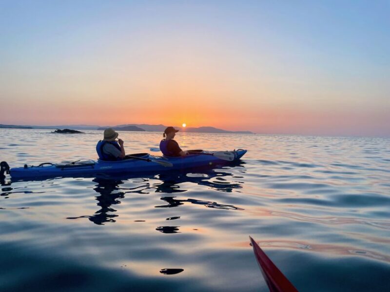 Chania: Morning Sea Kayak Tour Along the Coastline - The Scenic Return to Chania’s Harbour