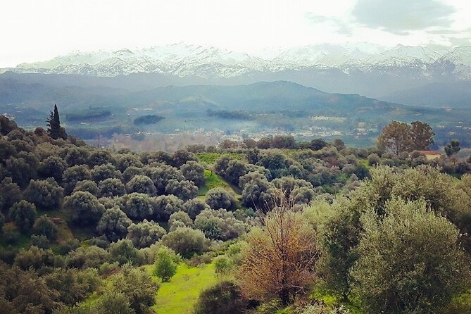 Chania Nature & Villages, White Mountains & Unique Cretan Lunch - From Chania to the Interior: An Introduction to Crete’s Hidden Corners