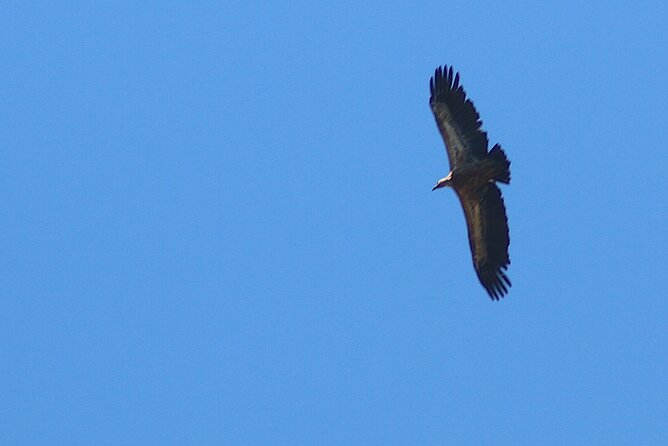 Chania Nature & Villages, White Mountains & Unique Cretan Lunch - Passing Through Omalos Plateau and Viewing Samaria Gorge