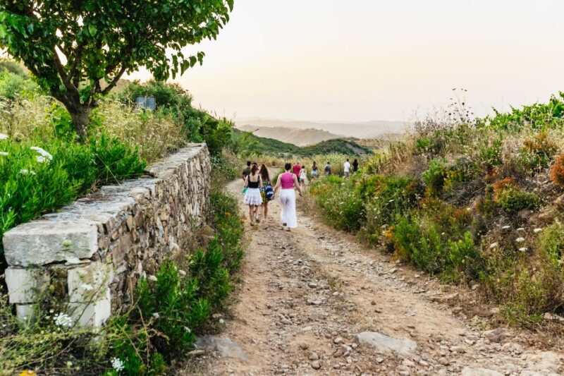 Chania: Off-Road Tour at Sunset - Final Thoughts on the Chania Sunset Safari