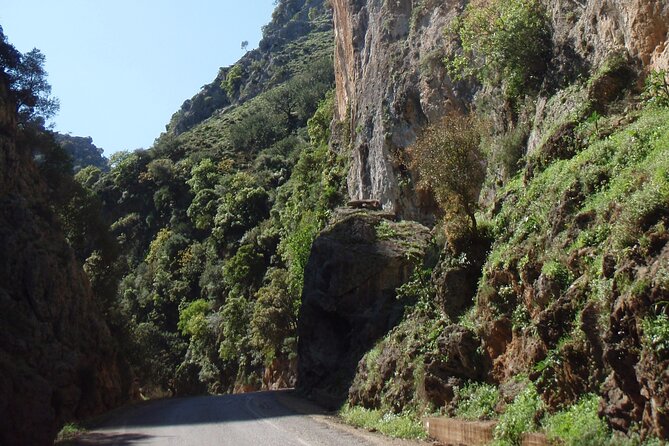 Chania Old Town and Cretan Landscape Tour (price per group of 6) - Authentic Cretan Cuisine at Ntounias Restaurant