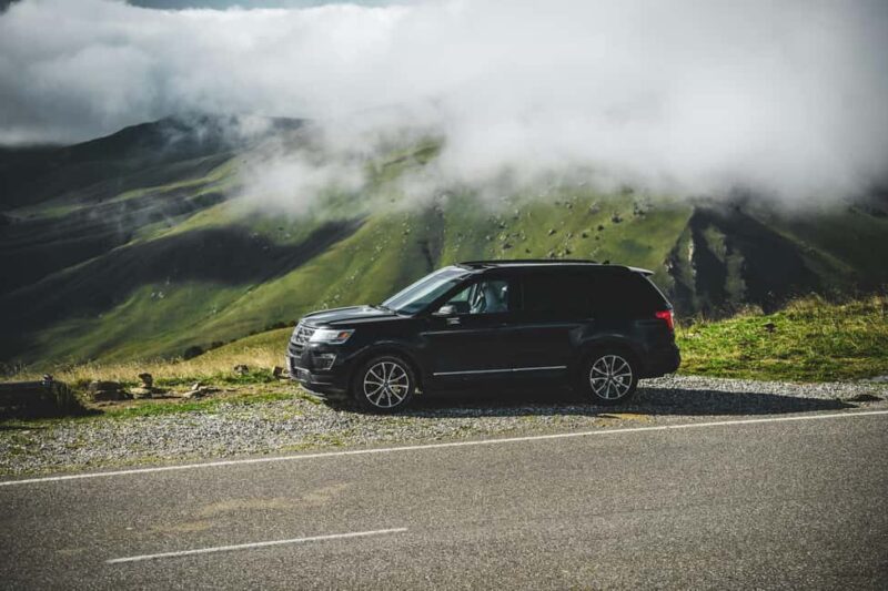 Chania Olive Tour: 3,000-Year-Old Tree, Museum &Organic Mill - Discovering the World’s Oldest Olive Tree in Ano Vouves