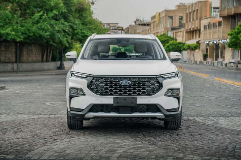 Chania Olive Tour: 3,000-Year-Old Tree, Museum &Organic Mill - Visiting the Family-Run Violaia Olive Mill