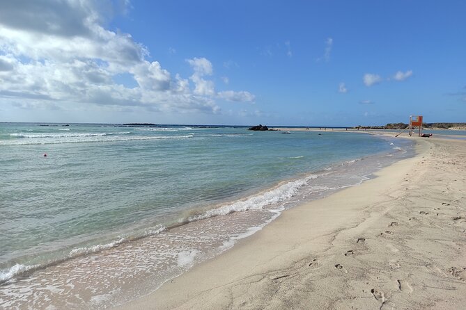 Chania Pink Beaches Private Tour: Elafonisi & Falassarna - Key Points