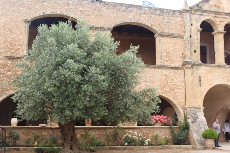 Chania Private Olive Oil Tour: Oil Tasting & Villages Tour - Explore Crete’s Olive Oil Production with a Private Guided Tour from Chania