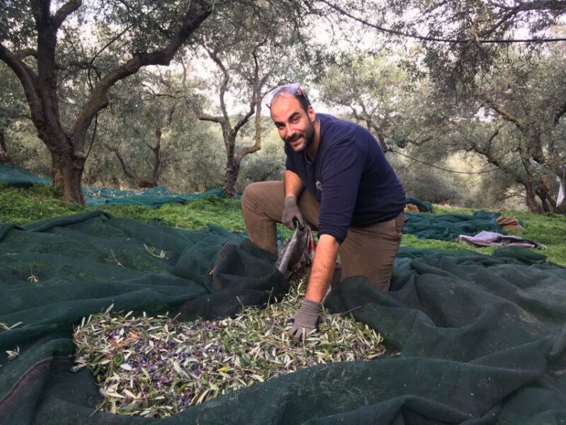 Chania Private Olive Oil Tour: Oil Tasting & Villages Tour - Logistics, Flexibility, and Practical Details